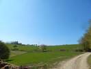 Bilder zu Wispertalsteig Premiumwanderweg im Naturpark Rhein-Taunus