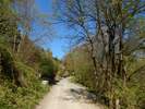 Bilder zu Wispertalsteig Premiumwanderweg im Naturpark Rhein-Taunus