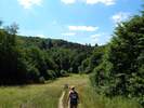 Bilder zu Rundweg Morgenbachtal über Soonwaldsteig und RheinBurgenWeg