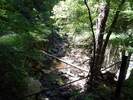 Bilder zu Rundweg Morgenbachtal über Soonwaldsteig und RheinBurgenWeg