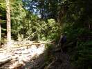 Bilder zu Rundweg Morgenbachtal über Soonwaldsteig und RheinBurgenWeg