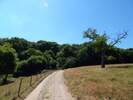 Bilder zu Rundweg Morgenbachtal über Soonwaldsteig und RheinBurgenWeg