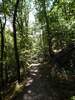 Bilder zu Rundweg Morgenbachtal über Soonwaldsteig und RheinBurgenWeg