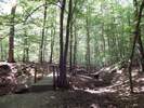 Bilder zu Rundweg Morgenbachtal über Soonwaldsteig und RheinBurgenWeg