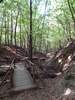 Bilder zu Rundweg Morgenbachtal über Soonwaldsteig und RheinBurgenWeg
