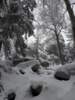 Von Parkplatz am Felsenlabyrinth Luisenburg in Wunsiedel zum Großen Haberstein