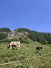 Von der Schwarzen Hütte nach Birgsau