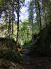 Von der Schwarzen Hütte nach Birgsau
