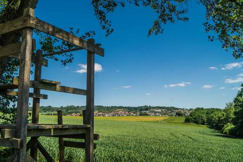 Wandern im Vogelsberg
