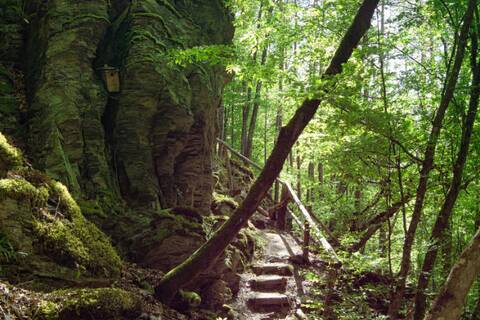 Wandern im Hunsrück