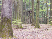 Spessartbogen Abschnitt 1 - Langenselbold Nach Freigericht-Horbach ...