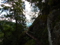 Felsenpfad Col de la Schlucht