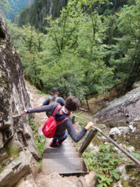 Felsenpfad Col de la Schlucht