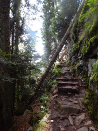 Felsenpfad Col de la Schlucht