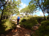 Felsenpfad Col de la Schlucht