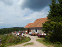 Rundweg Lac Blanc - Château Hans - Soultzeren Eck - Gazon du Faing