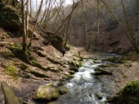 Traumschleife Ehrbachklamm am Saar-Hunsrück-Steig