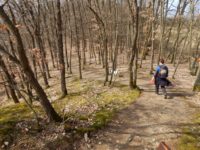 Traumschleife Ehrbachklamm am Saar-Hunsrück-Steig