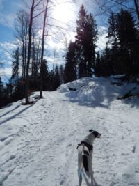 Söllereck - Sattelkopf - Hochleite - Schwand - Freibergsee