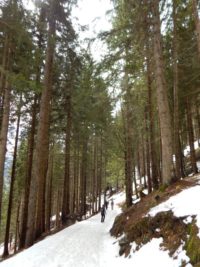 Söllereck - Sattelkopf - Hochleite - Schwand - Freibergsee