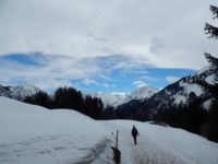 Söllereck - Sattelkopf - Hochleite - Schwand - Freibergsee