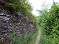 Collis-Steilpfad mit Klettersteig über Zell an der Mosel