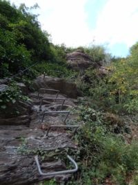 Collis-Steilpfad mit Klettersteig über Zell an der Mosel