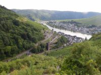 Collis-Steilpfad mit Klettersteig über Zell an der Mosel