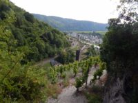 Collis-Steilpfad mit Klettersteig über Zell an der Mosel