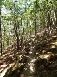 Traumschleife Altlayer Schweiz im Hunsrück