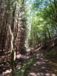 Traumschleife Hunolsteiner Klammtour Wanderung Hunsrück