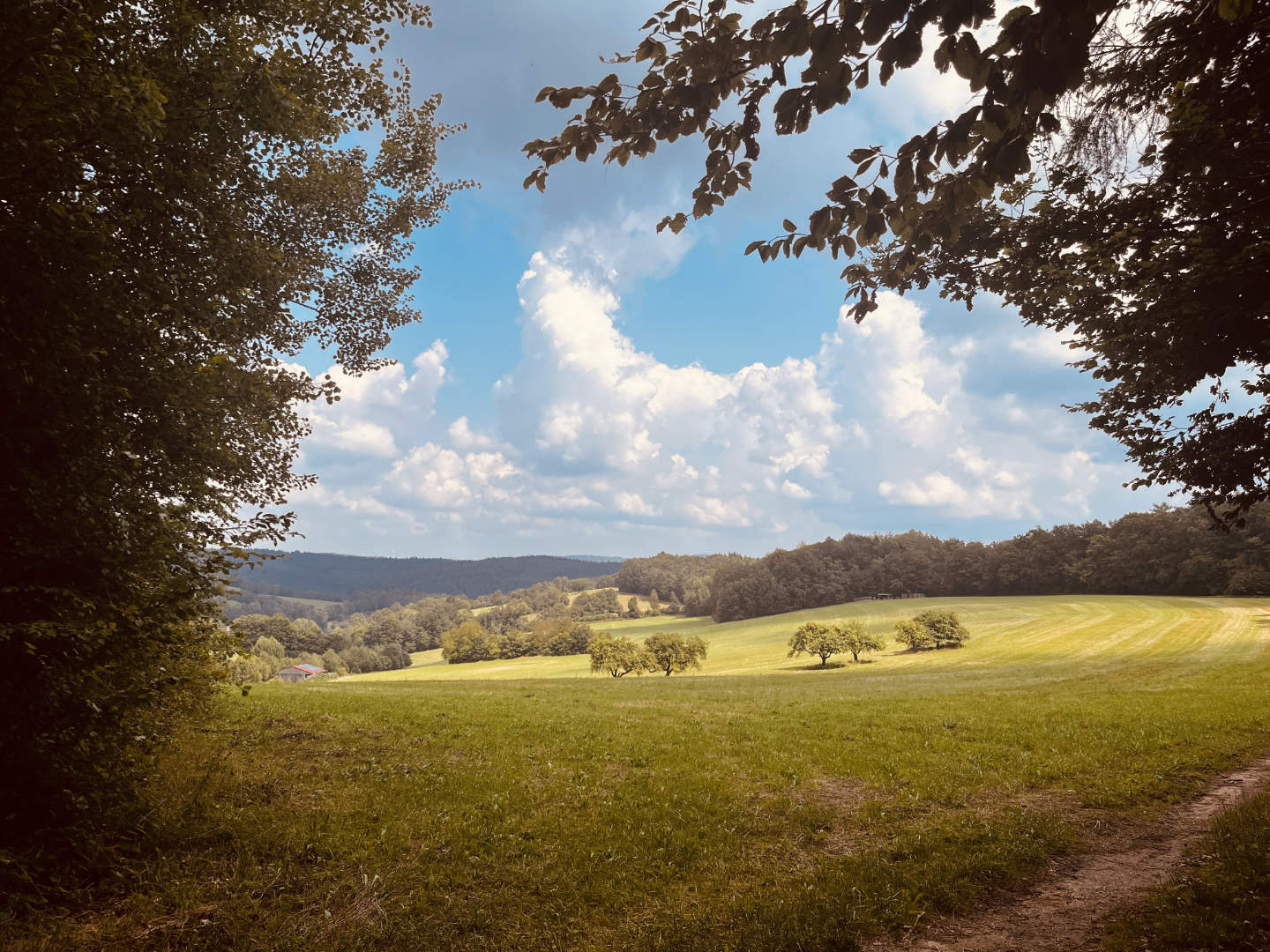 Trekking im Spessart auf dem Trekkingplatz Jagdpfad